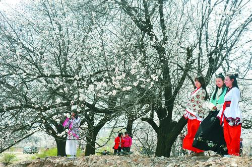 说球帝app最新版下载界面展示